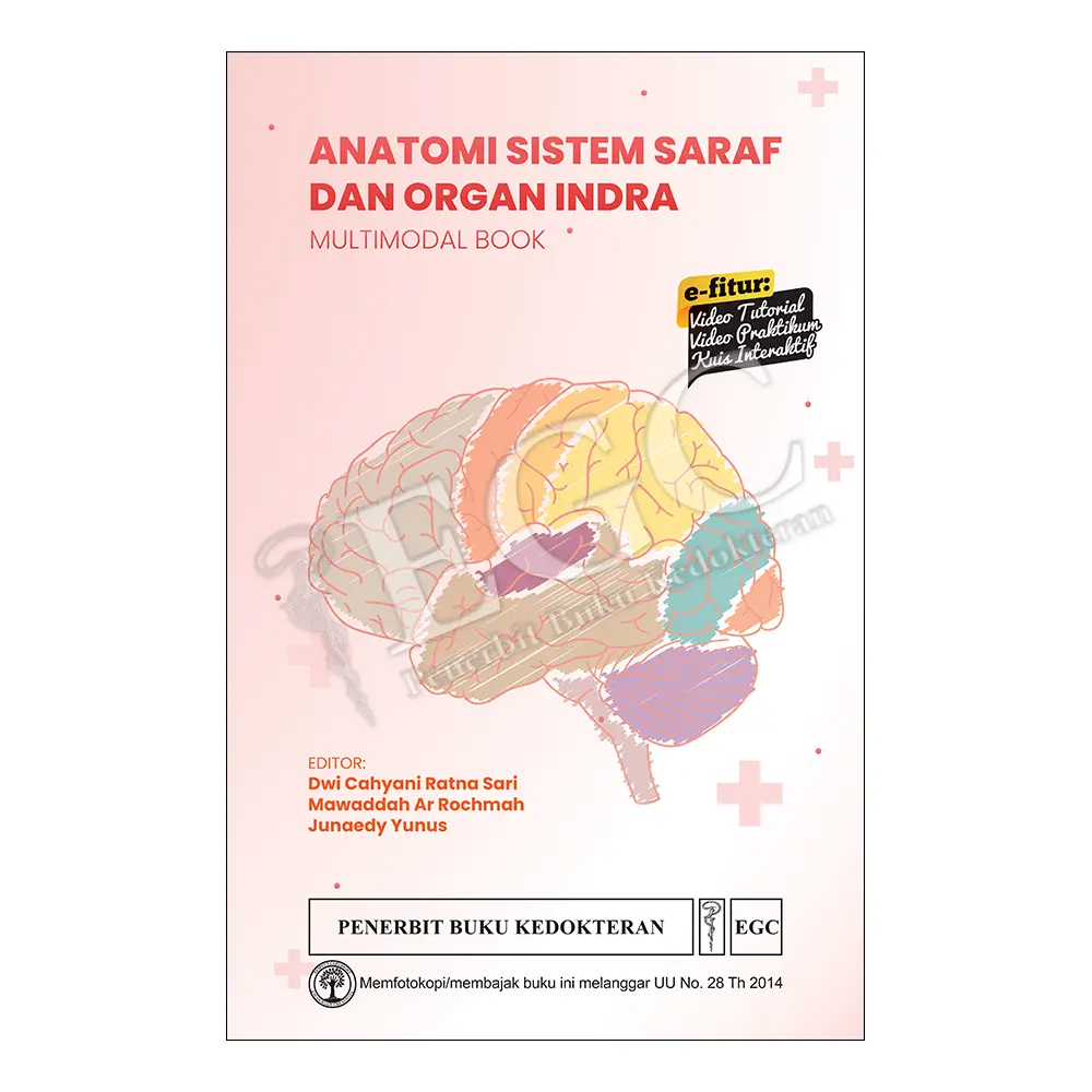 Anatomi Sistem Saraf dan Organ Indra Multimodal